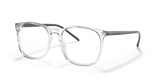 Transparent / Clear (8181)