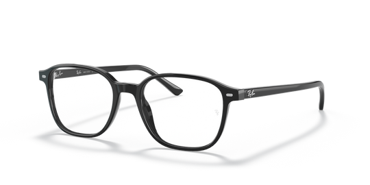 Ray-Ban LEONARD - Black / Clear (2000)
