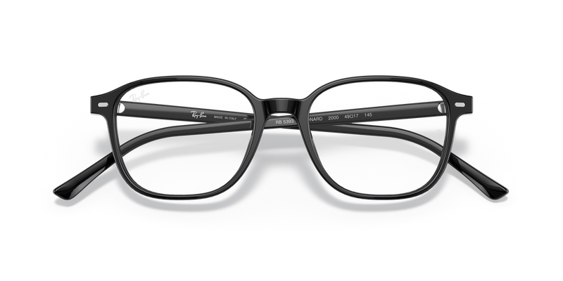 Ray-Ban LEONARD in Black / Clear (2000) - Side View
