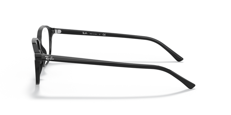 Ray-Ban LEONARD in Black / Clear (2000) - Back View