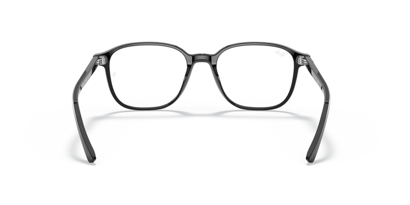 Ray-Ban LEONARD in Black / Clear (2000) - Temple Detail