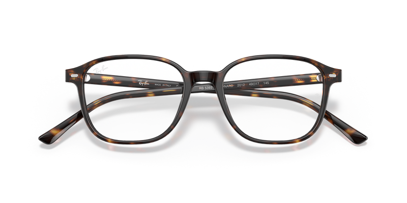 Ray-Ban LEONARD in Havana / Clear (2012) - Alternate View