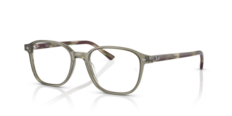 Ray-Ban LEONARD in Transparent Green / Clear (8178) - Alternate View