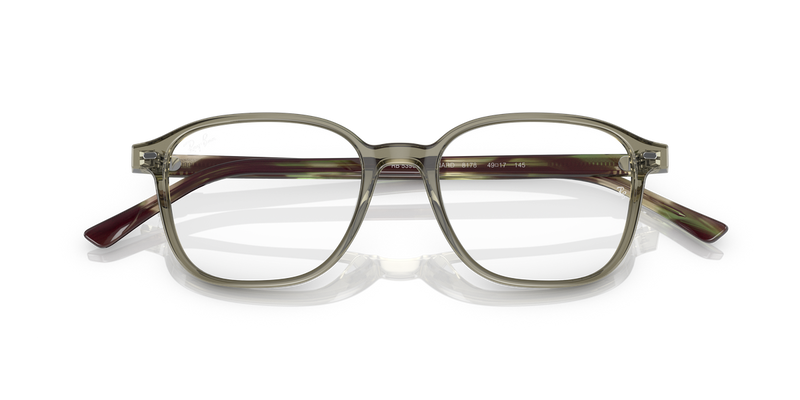 Ray-Ban LEONARD in Transparent Green / Clear (8178) - Alternate View