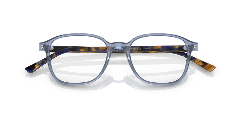 Ray-Ban LEONARD in Transparent Blue / Clear (8228) - Alternate View