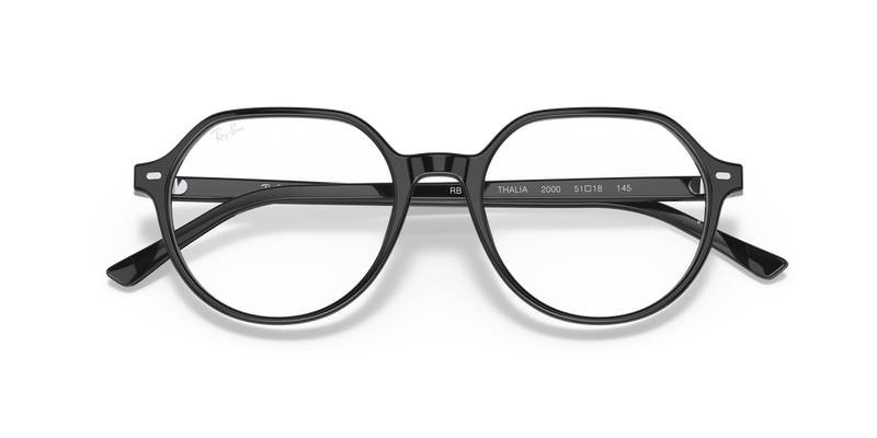 Ray-Ban THALIA in Black - Alternate View