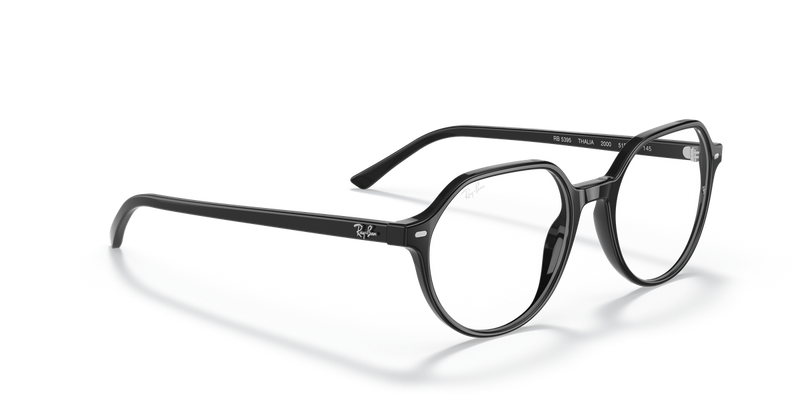 Ray-Ban THALIA in Black - Alternate View