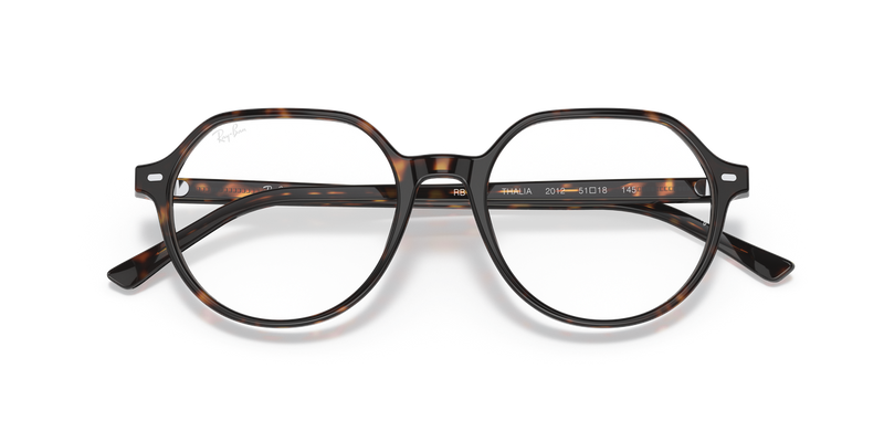 Ray-Ban THALIA in Havana - Alternate View