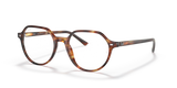 Striped Havana / Clear (2144)