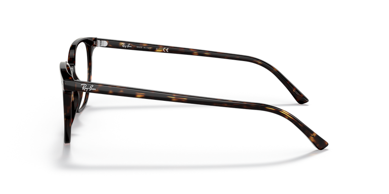 Ray-Ban ELLIOT in Havana / Clear (2012) - Alternate View