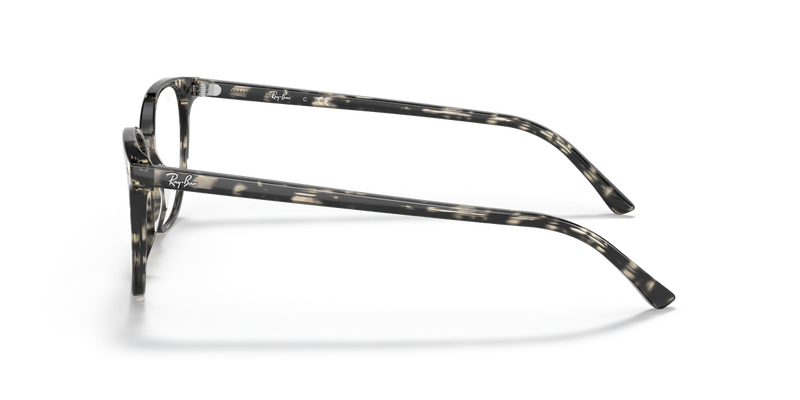 Ray-Ban ELLIOT in Grey Havana / Clear (8117) - Alternate View