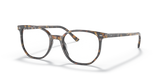 Brown Grey Havana / Clear (8173)