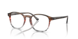 Striped Brown & Red / Clear (8251)