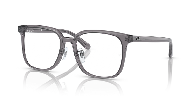 Ray-Ban RX5419D in Transparent Grey - Alternate View