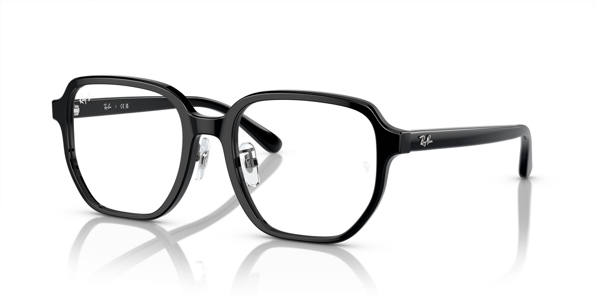 Ray-Ban RX5424D