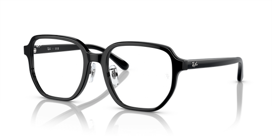 Ray-Ban RX5424D - Black / Clear (2000)
