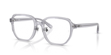 Transparent Grey / Clear (8415)