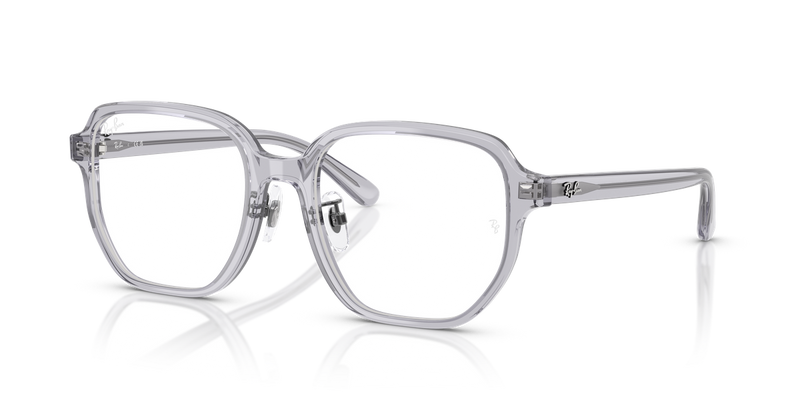Ray-Ban RX5424D in Transparent Grey - Alternate View