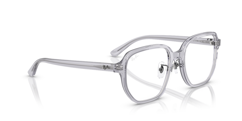 Ray-Ban RX5424D in Transparent Grey - Alternate View