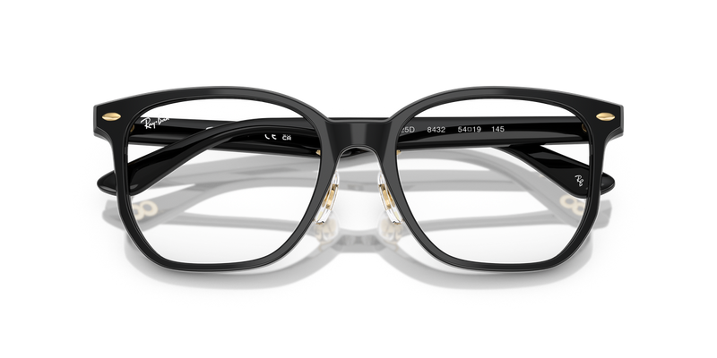 Ray-Ban RX5425D in Black - Alternate View