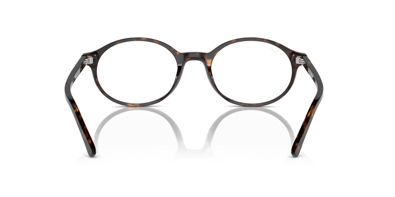 Ray-Ban GERMAN in Havana / Clear (2012) - Alternate View