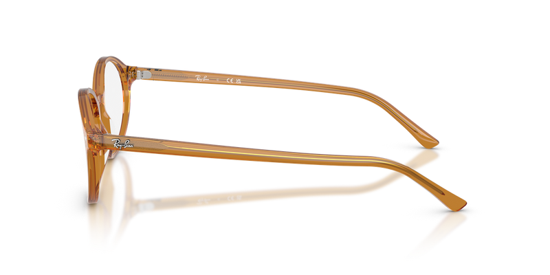 Ray-Ban GERMAN in Beige / Clear (8439) - Alternate View