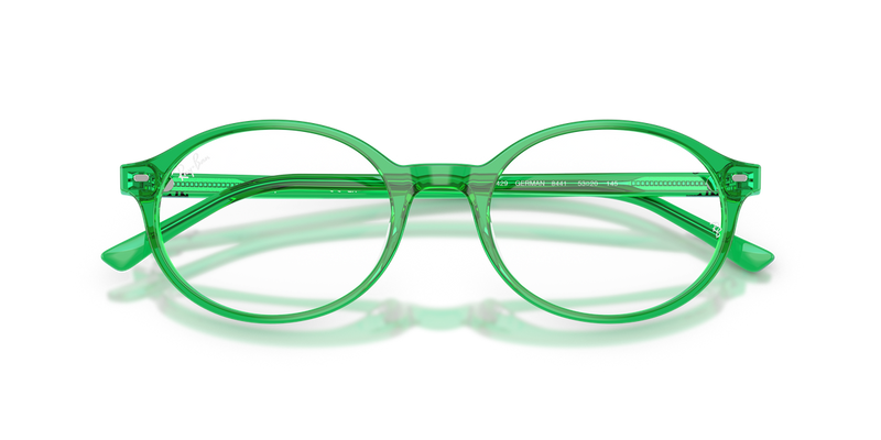 Ray-Ban GERMAN in Green / Clear (8441) - Alternate View