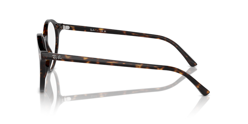 Ray-Ban BERNARD in Havana / Clear (2012) - Alternate View