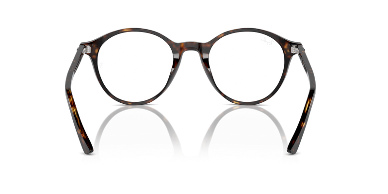 Ray-Ban BERNARD in Havana / Clear (2012) - Alternate View