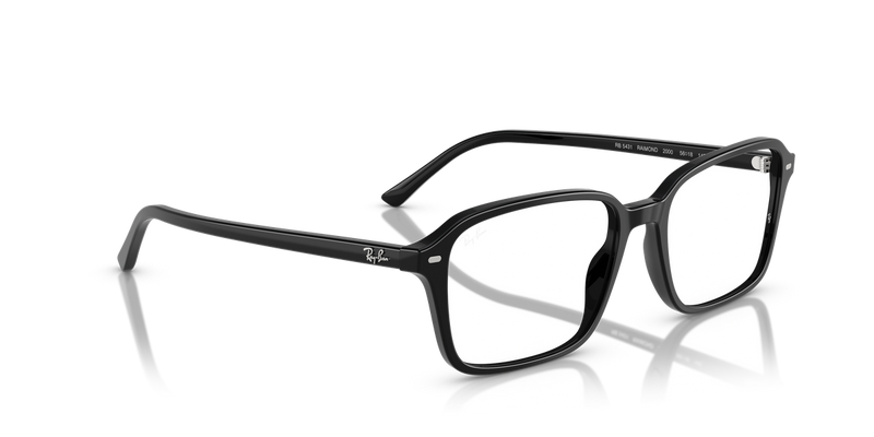 Ray-Ban RAIMOND in Black / Clear (2000) - Alternate View