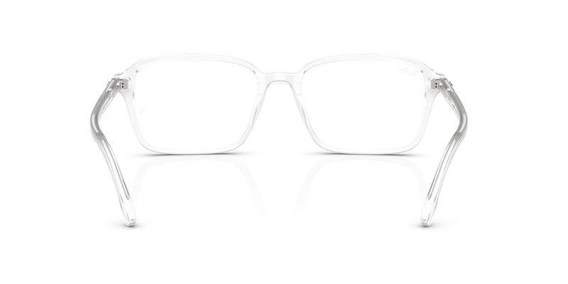 Ray-Ban RAIMOND in Transparent / Clear (2001) - Temple Detail