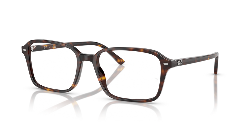 Ray-Ban RAIMOND in Havana / Clear (2012) - Alternate View