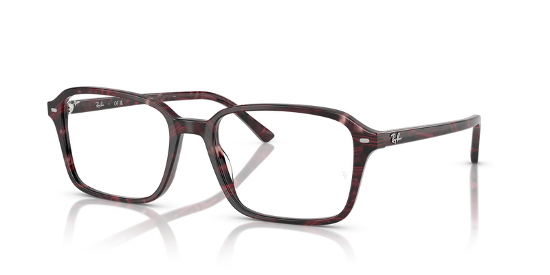 Ray-Ban RAIMOND in Transparent Fantasy Violet & Red / Clear (8393) - Alternate View