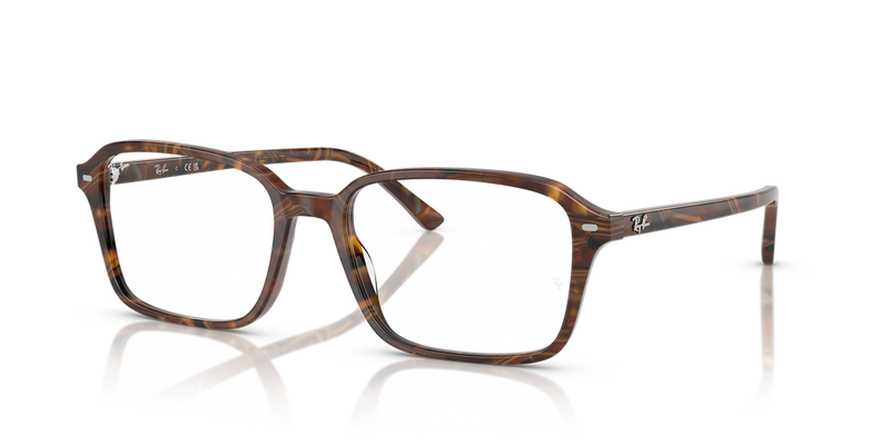 Ray-Ban RAIMOND in Transparent Fantasy Brown & Yellow / Clear (8395) - Alternate View