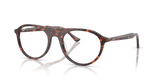 Havana Red Turtle / Clear (8423)