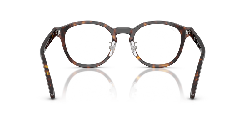 Ray-Ban RX5443D in Havana - Alternate View