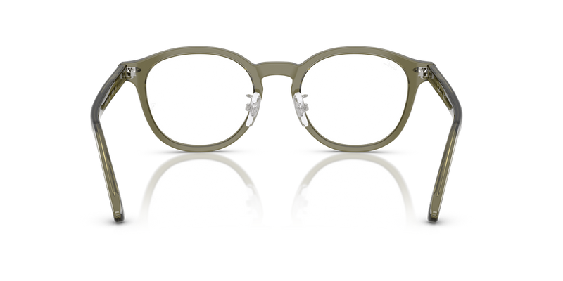 Ray-Ban RX5443D in Transparent Brown Heart - Temple Detail