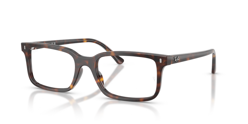 Ray-Ban RX5445F in Havana / Clear (2012) - Alternate View
