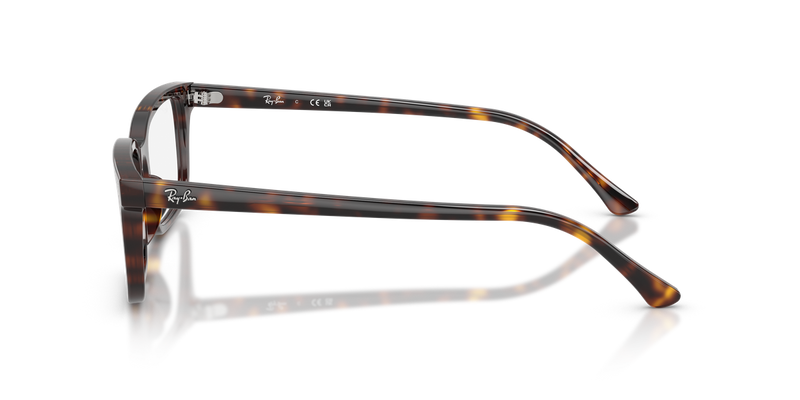 Ray-Ban RX5445F in Havana / Clear (2012) - Alternate View