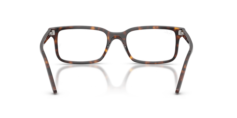 Ray-Ban RX5445F in Havana / Clear (2012) - Alternate View