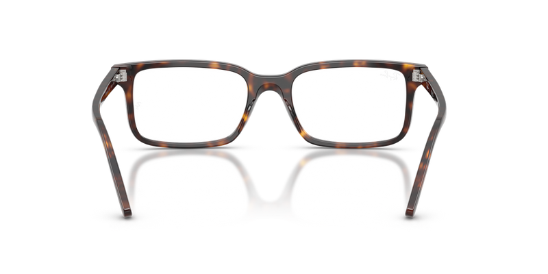 Ray-Ban RX5445 in Havana / Clear (2012) - Alternate View