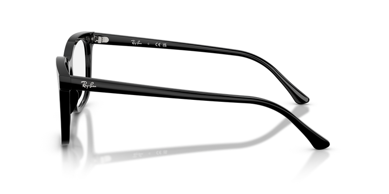 Ray-Ban RX5446 in Black / Clear (2000) - Back View
