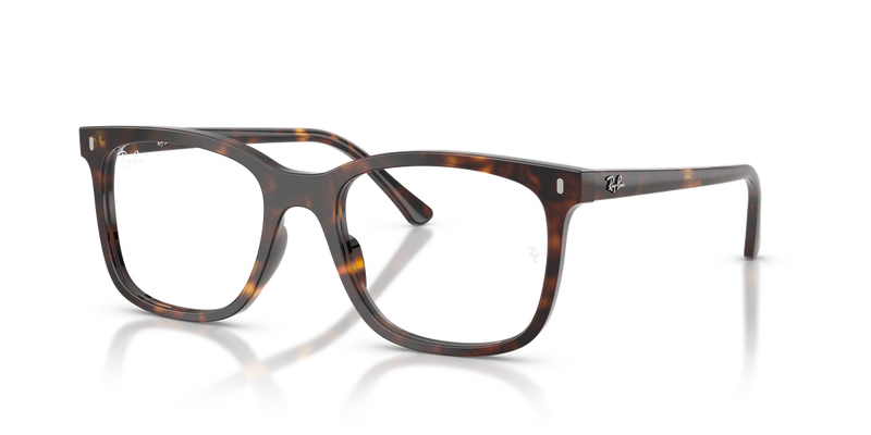 Ray-Ban RX5446 in Havana / Clear (2012) - Alternate View