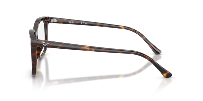 Ray-Ban RX5446 in Havana / Clear (2012) - Alternate View