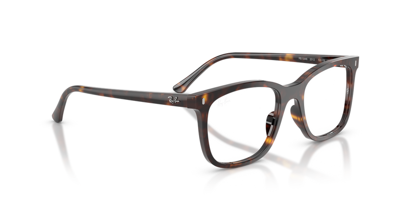 Ray-Ban RX5446 in Havana / Clear (2012) - Alternate View