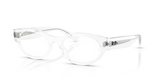 Transparent / Bio Demo Lens (2001)