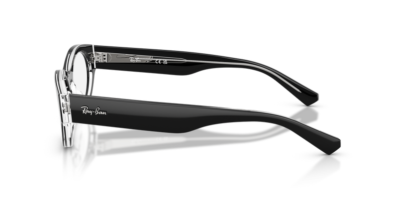 Ray-Ban RX5447 in Black On Transparent - Alternate View