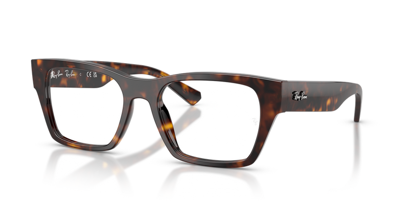 Ray-Ban RX5448 in Havana / Clear (2012) - Alternate View