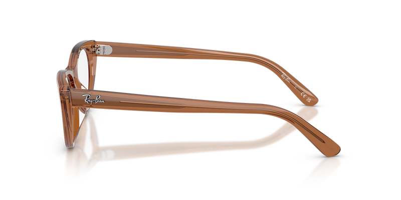 Ray-Ban RX5449D in Transparent Brown / Clear (8201) - Alternate View