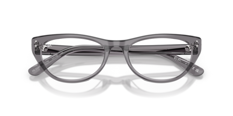 Ray-Ban RX5449D in Transparent Grey / Clear (8268) - Alternate View